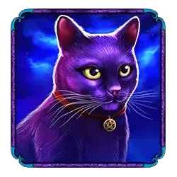 Black cat symbol