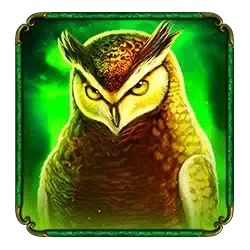 Owl symbol